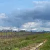 BERNICE QING OHENHEN Moe - @bernice.qing.ohen - TikTok