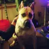 bernicemoore8 - @bernicemoore8 - TikTok