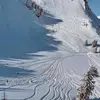 BERNICE MORGENLANDER - @espinosa1802 - TikTok