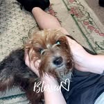 Bernice Napier - @bernice.napier.7 - Instagram