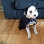 Bernice Napier - @bernicenapier - Instagram