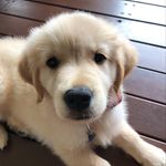 Bernice Naylor - @bernice_jane_07 - Instagram
