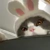Cozyboy777 - @berniceneedhamhl75 - TikTok