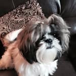 Bernice Newton - @bernice.newton.5 - Instagram