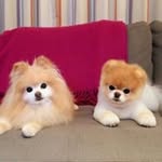 BerniceNew - @newbernice - Instagram