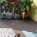 Bernice Oswald - Facebook