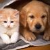Bernice Oswald - Facebook