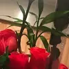 berniceramos13 - @berniceramos8 - TikTok