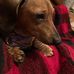 Bernice Rennie - Facebook