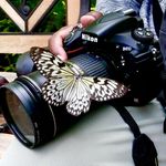 Bernie Sewell - @sewellbernie - Instagram