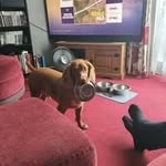 Bernie Swain - @swain.bernie - Instagram