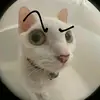 Nguyễn Văn Tài - @mrsberniceterry - TikTok