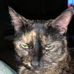 Bernie Thurston - Facebook
