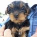Bernie Timmons - Facebook