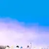 Bernice Titus - @bernicetitus3719 - TikTok