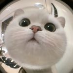 ♡BERNICE♡ - @bernice_tong_0325 - Instagram