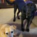 Bernice Tracy - Facebook