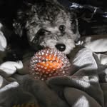 Bernice Tucker - @bernice.tucker.5 - Instagram