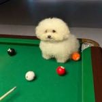 Bernice Villa - @bev99_ - Instagram