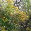 bernice walsh - @bernice.walsh8 - TikTok
