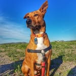 Bernice Ward - @berniceward600 - Instagram