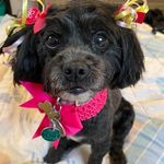 Bernice Ward - @msb185 - Instagram
