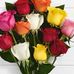 Bernice Ward - Facebook
