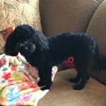 Bernice Ward Hyder - @bernicehyderbernice_hyder - Instagram