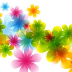 Bernice Warfield - Facebook
