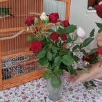 Bernice Wagner - Facebook