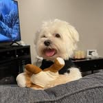 Annie Bernice Warren - @mitten561 - Instagram