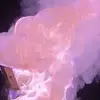 Bernice Watt - @user7966992344903 - TikTok