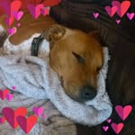 Bernie Watts - @bwattsbernie - Instagram