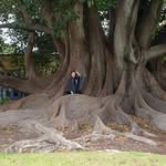 Bernice Webb - @bernice.webb.54 - Instagram