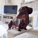 Bernice Webb - @flipljabal - Instagram
