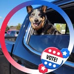 Bernie Weiss - @bernie.weiss.47 - Instagram