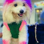 Bernice West - @bernicewest4968 - Instagram