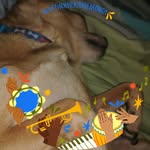 Bernice Wheeler - @bernicewheeler2955 - Instagram
