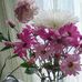 Bernice Widner - Facebook