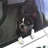 Bernice Wilson - @bernice.wilson5 - TikTok