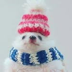 Bernie Winters - @bernie.winters2 - Instagram