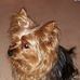 Bernice Woods - Facebook