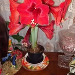 Bernice Worthy - Facebook