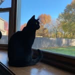 Bernie George Yoder - @berniegeorge414 - Instagram