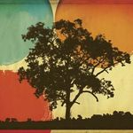 Bernie Allen - @allen.bernie - Instagram