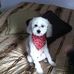 Bernie Arnold Jones - Facebook