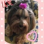 Bernie Baca Iturralde - @bernie_baca - Instagram