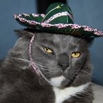 Bernie Baker - @berns.baker - Instagram