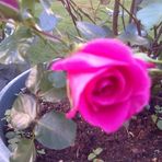 Bernie Barton - Facebook