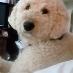 Bernice Bates - @bbates3131 - Instagram